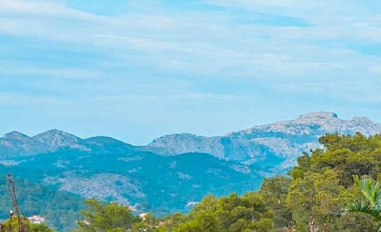 An Insider’s Guide to Real Estate Investment in Spain