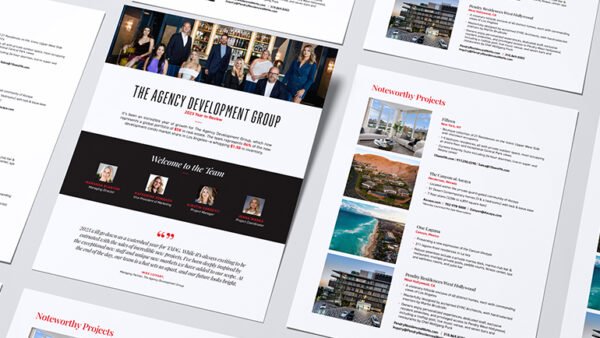 Year In Review: The Agency Development Group
