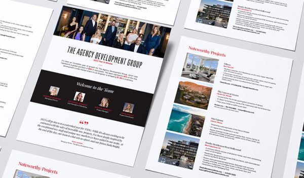 Year In Review: The Agency Development Group