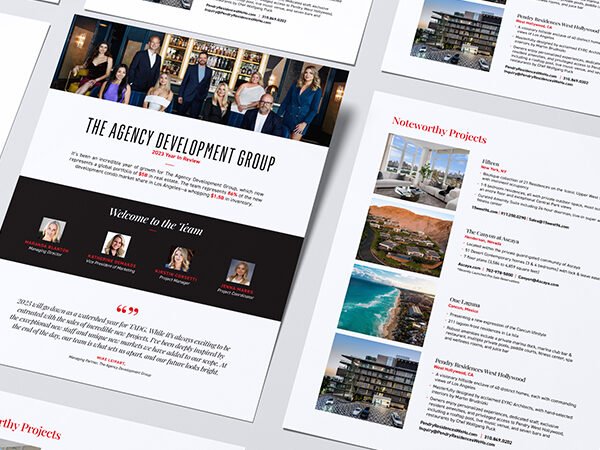 Year In Review: The Agency Development Group