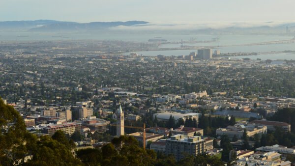 The Agency Opens New Office in Berkeley, California