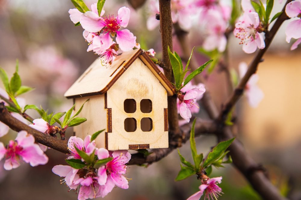 Spring is widely regarded as the best time to sell a property