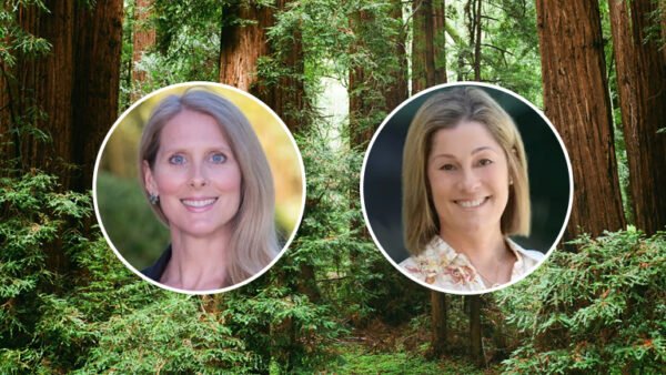 A Closer Look at NorCal Real Estate