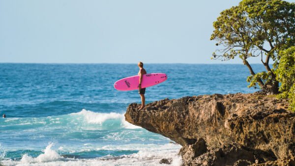 Surfing Hotspots & Custom Boards