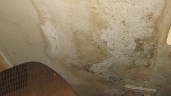 Councils failing to inspect potentially hazardous housing, data shows