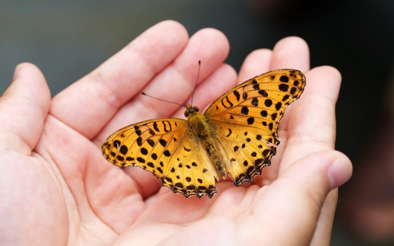 Housebuilders sign up to nature initiative