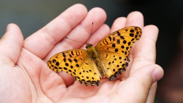 Housebuilders sign up to nature initiative