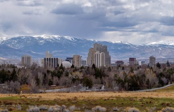 Mohr & Standard Plan Spec Industrial Space in Reno
