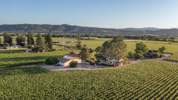 A Picturesque Wine Country Retreat in Sonoma