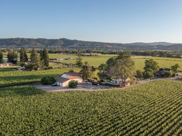 A Picturesque Wine Country Retreat in Sonoma