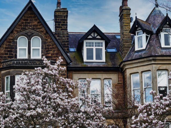 Insights from Real Estate Experts