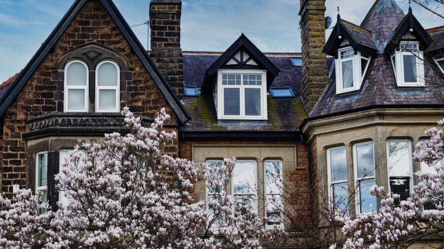 Insights from Real Estate Experts