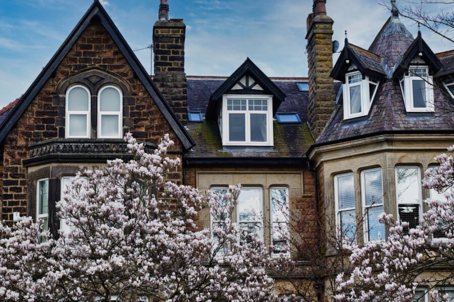 Insights from Real Estate Experts