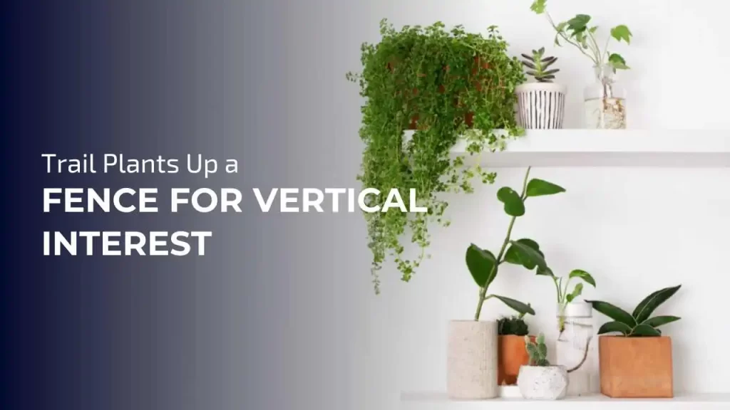 Utilize vertical space by training plants to climb fences, walls, or trellises