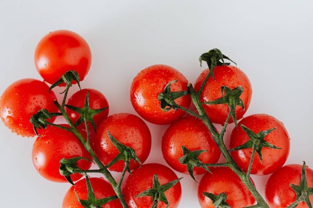 Creating Tomatoes Indoors