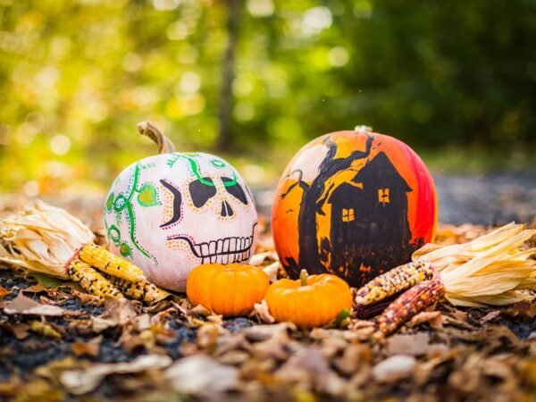 A Guide to Long Island’s Best Towns for Trick-or-Treating