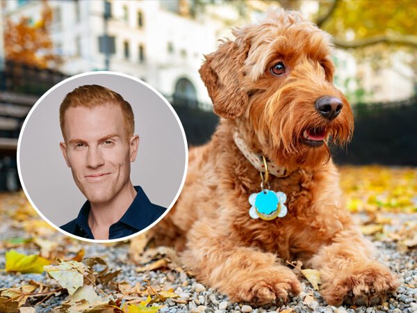 Dog-Friendly Places & Trips with Mike Fabbri