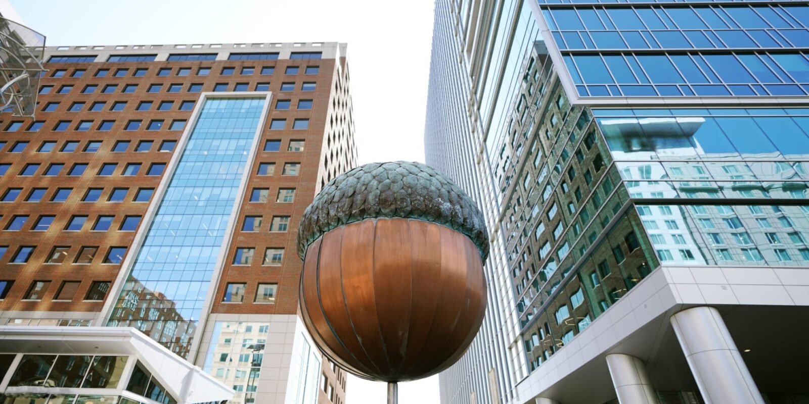 Maeve Raleigh Mixed-Use High Rise Opening Maeve Raleigh Mixed-Use High Rise Opening