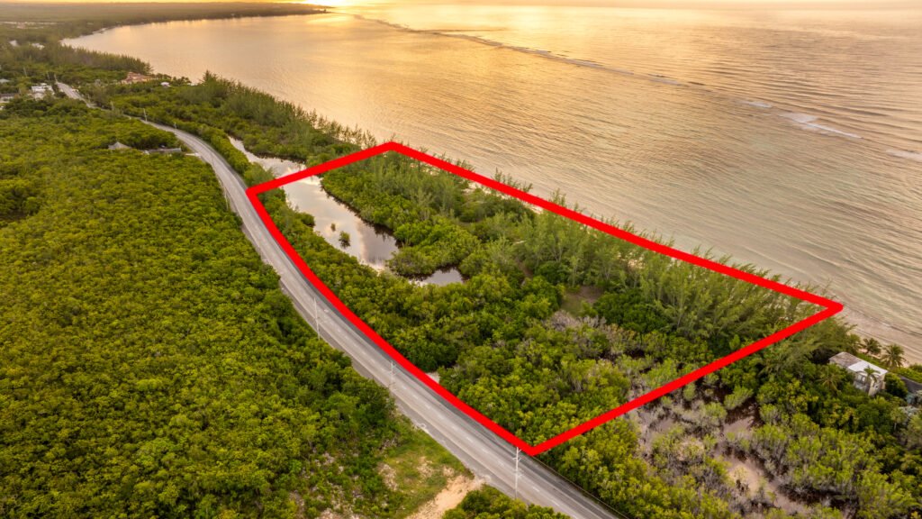Aerial view of a coastal mangrove area outlined in red, with dense green vegetation, water patches, a nearby road, and the ocean visible on the right side.