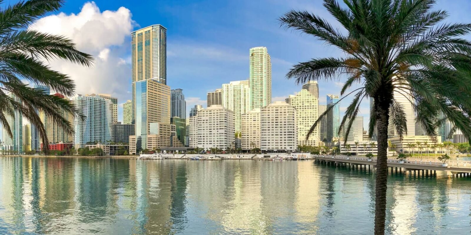 New Office Leases at Miami Tower