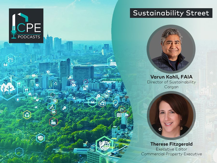 Sustainability Street: The Truth About Mass Timber