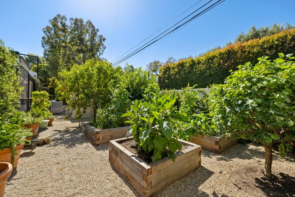 A sunlit outdoor garden with wooden raised beds filled with green plants and small trees, surrounded by gravel ground and bordered by tall trees and hedges under a clear blue sky.