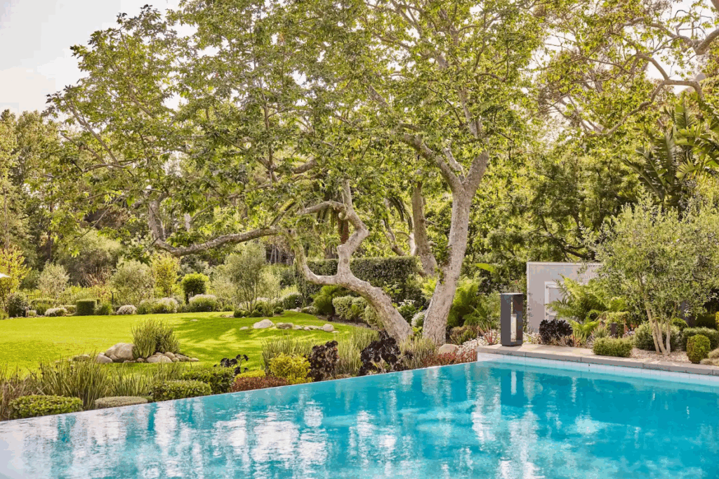 A serene garden with a clear blue swimming pool, lush lawn, vibrant plants, and a mature gnarled tree under a bright sky.