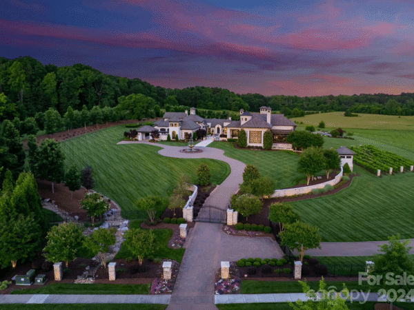 Stunning North Carolina Estate With Its Own Vineyard (PHOTOS)