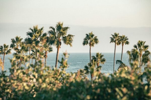 Pacific Palisades Market Spotlight with Heather Bell