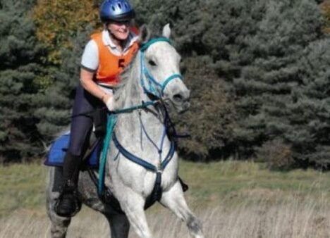 Estate agent dies after horse-riding accident; tributes paid