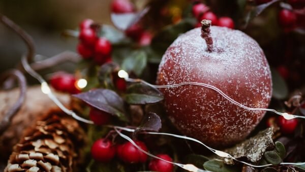 Wishing all our readers a very Happy Christmas and a prosperous New Year