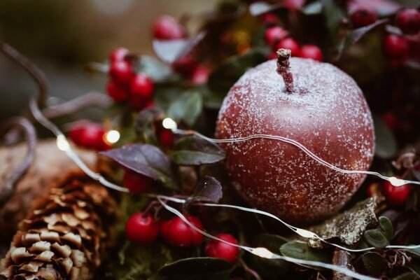 Wishing all our readers a very Happy Christmas and a prosperous New Year