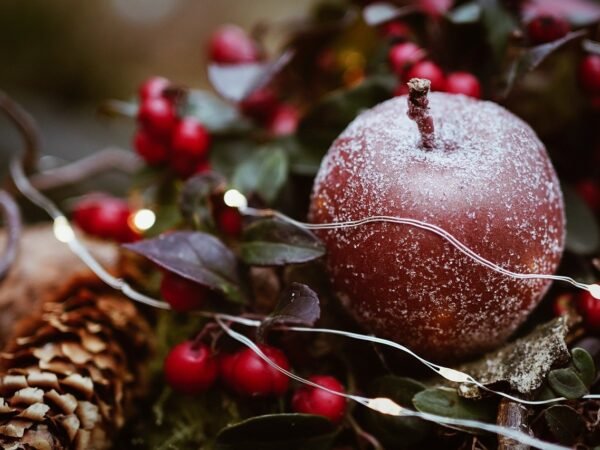 Wishing all our readers a very Happy Christmas and a prosperous New Year