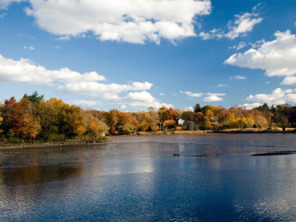 The Agency Launches New Office in Fairfield County, Connecticut