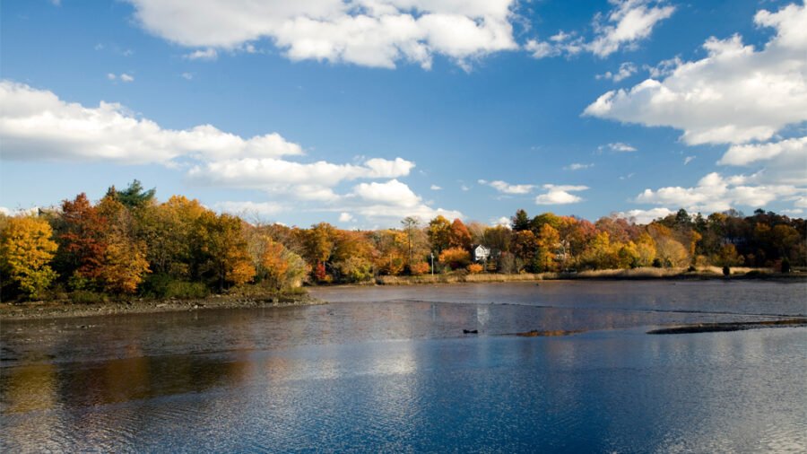 The Agency Launches New Office in Fairfield County, Connecticut