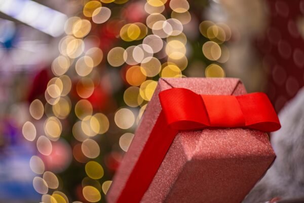 The Agency Magazine’s Guide to Holiday Giving 