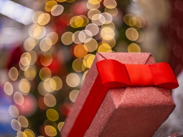 The Agency Magazine’s Guide to Holiday Giving 
