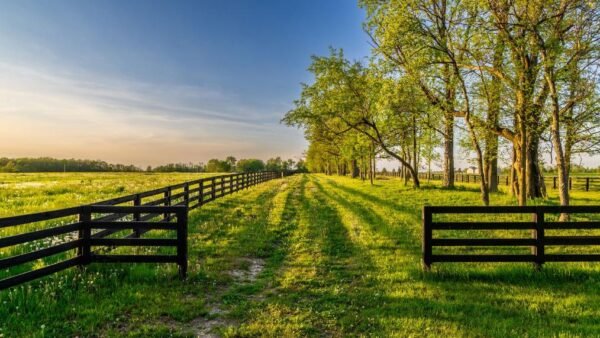 Land Listings From California to the Cayman Islands
