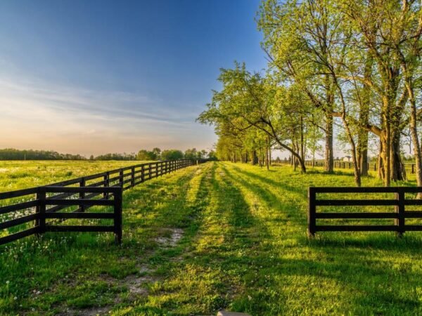 Land Listings From California to the Cayman Islands
