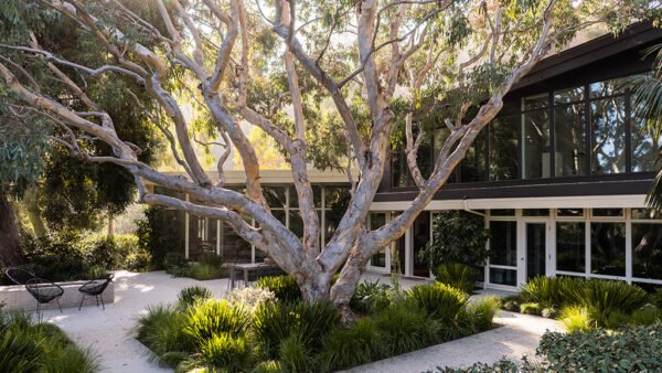 A Mid-Century Beauty in Mandeville Canyon A Mid-Century Beauty in Mandeville Canyon