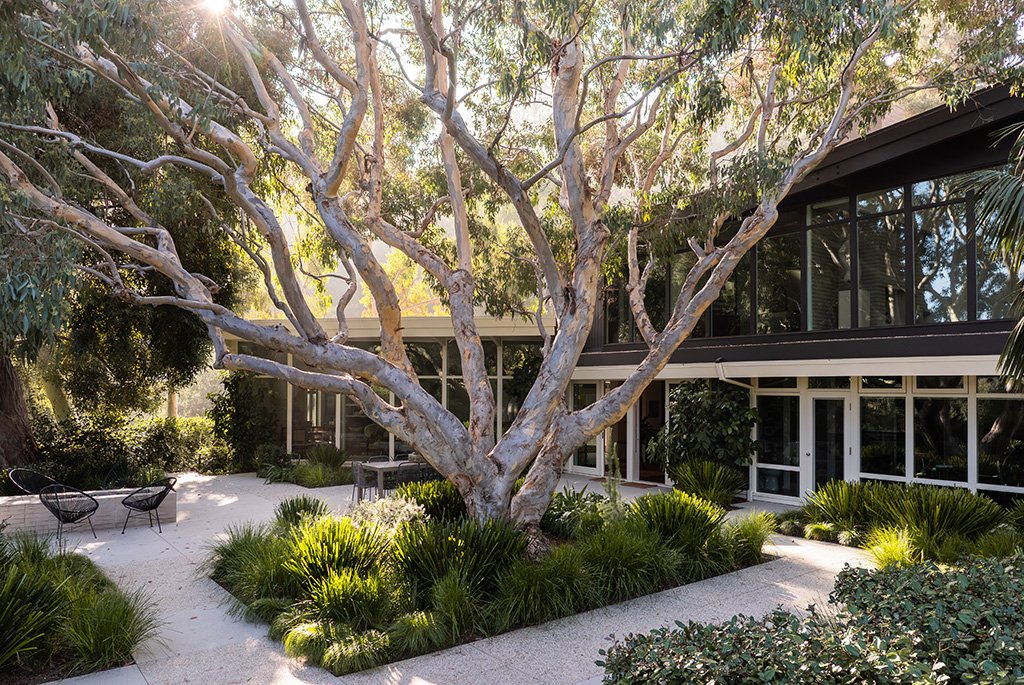 A Mid-Century Beauty in Mandeville Canyon