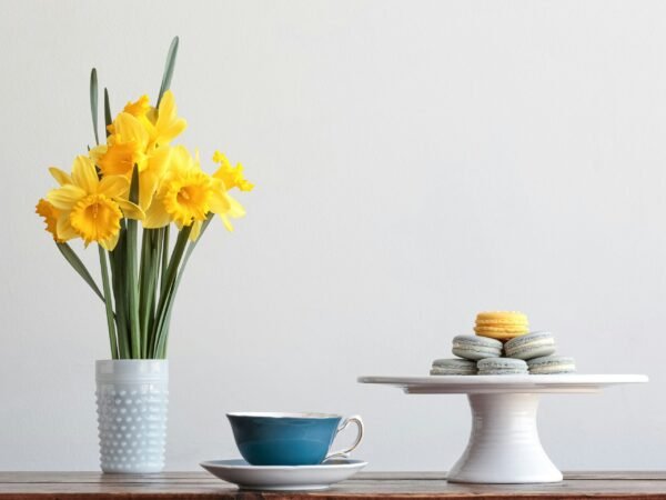 Curated Selections, For Every Kind of Mom