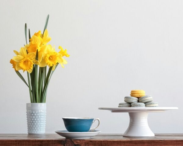 Curated Selections, For Every Kind of Mom