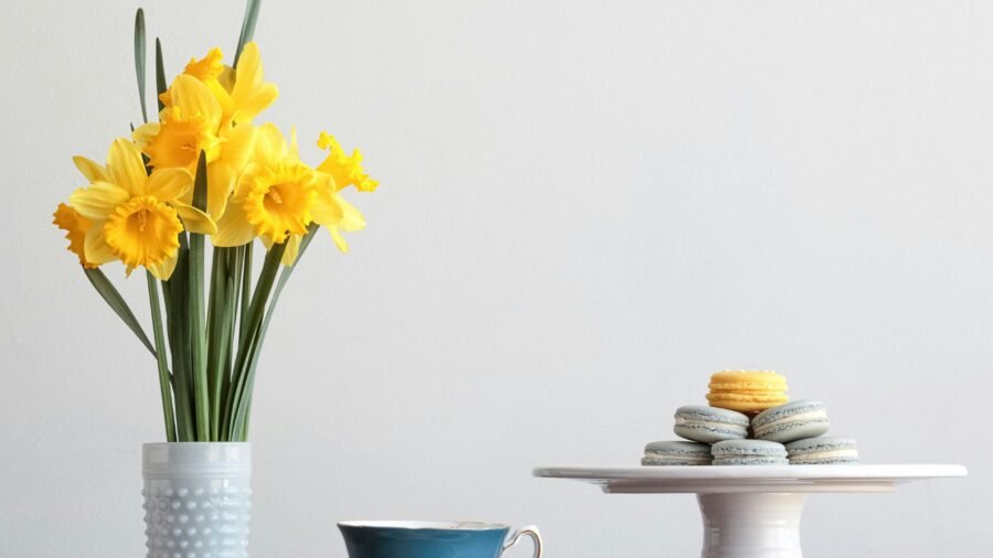 Curated Selections, For Every Kind of Mom