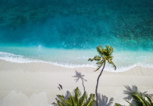 How the Rise of Wellness Tourism is Energizing Jamaica’s Real Estate Market
