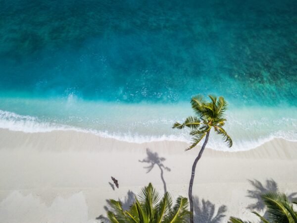 How the Rise of Wellness Tourism is Energizing Jamaica’s Real Estate Market