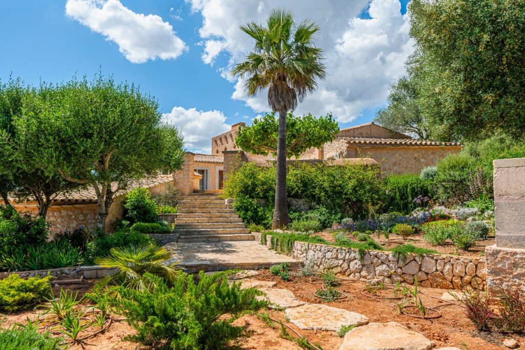 Luxury Mediterranean stone villa entrance featuring a flagstone staircase, a tall palm tree, and rustic stone retaining walls.