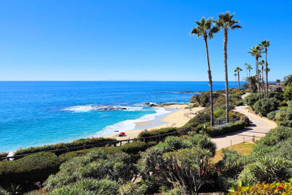 Elevated view of a winding paved walking path at Treasure Island Park overlooking Treasure Island Beach in Laguna Beach, California, featuring turquoise ocean waves, a sandy shoreline, tall palm trees, and lush green coastal landscaping under a clear blue sky.