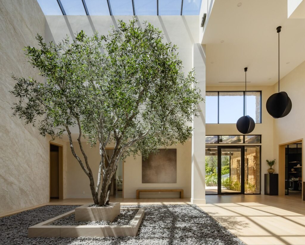 Luxury home foyer featuring a large indoor olive tree planted in a gravel bed beneath a massive glass skylight roof.