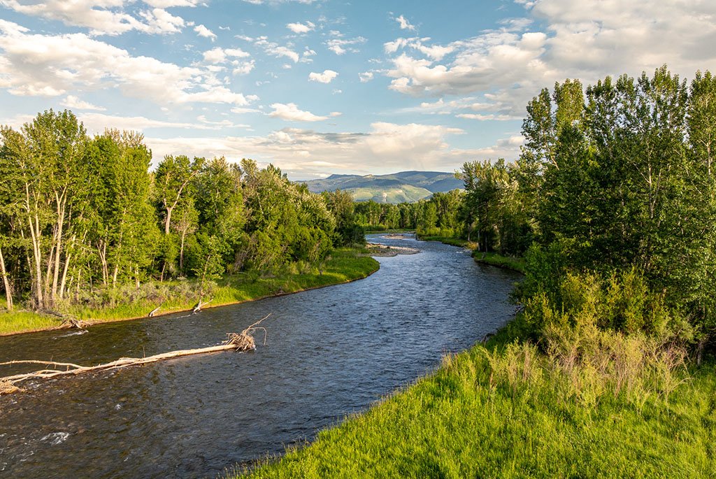 The scenic stretch of private West Gallatin River frontage running through A River's Ranch, offering premium blue-ribbon trout fishing in Montana.